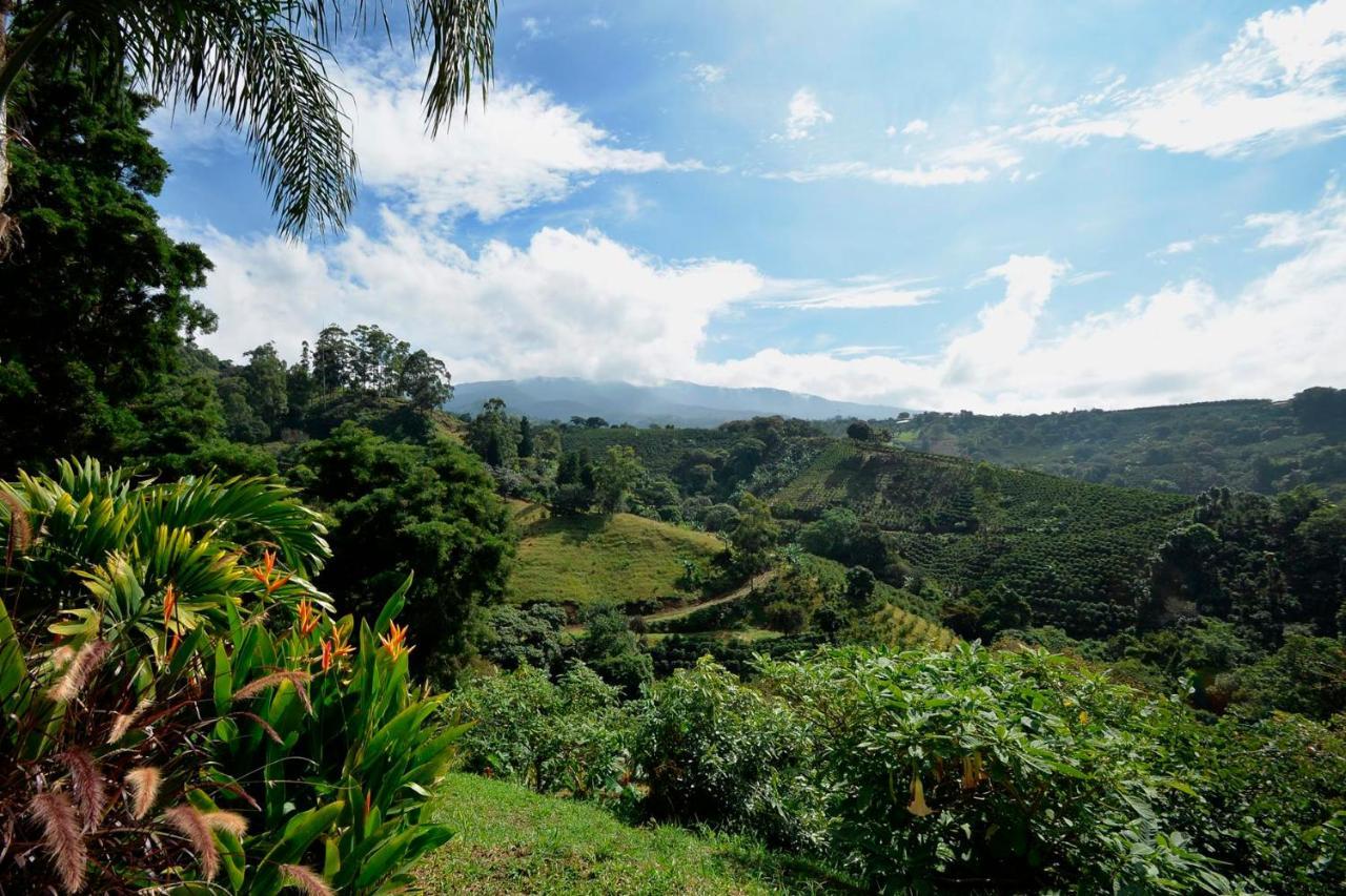 Апартаменти Supercostarica Гресія Екстер'єр фото